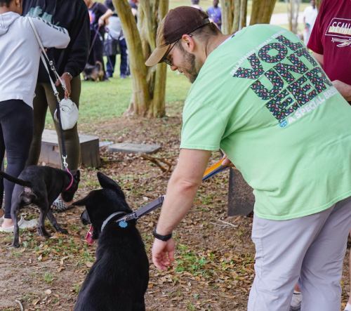 Volunteers get the job done